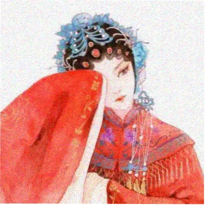 读者苏禾的留言头像